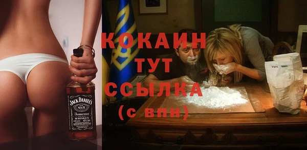 мдпв Россошь