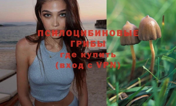 гидра Саяногорск
