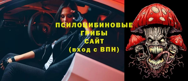 тгк Арсеньев
