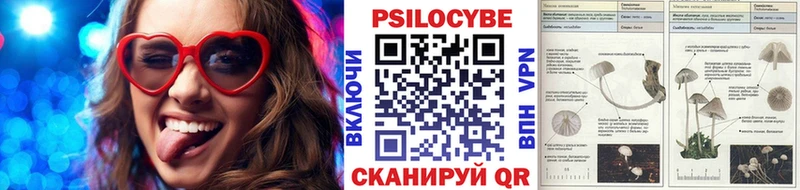 Галлюциногенные грибы MAGIC MUSHROOMS  сколько стоит  Стрежевой 